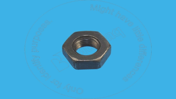 hexagon-nut  KM1001