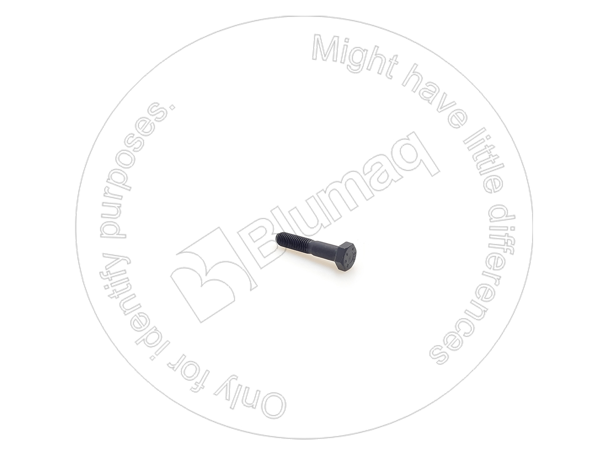 Bolts and nuts VARIED HARDWARE COMPATIBLE FOR VOLVO APPLICATIONS VO991641