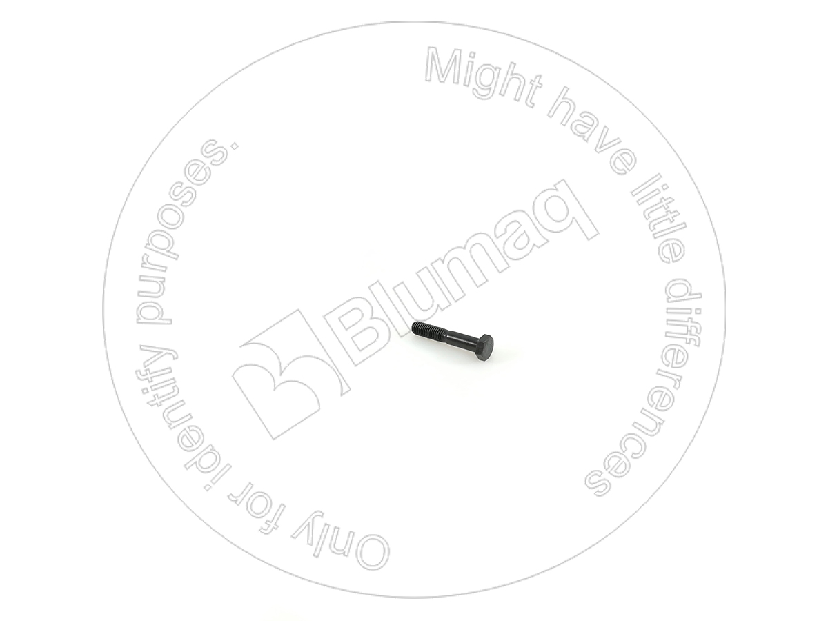 Bolts and nuts VARIED HARDWARE COMPATIBLE FOR VOLVO APPLICATIONS VO970977