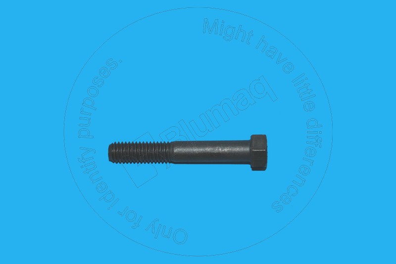 OTHER ROUND HEAD BOLTS compatible-for-volvo-applications VOE955539