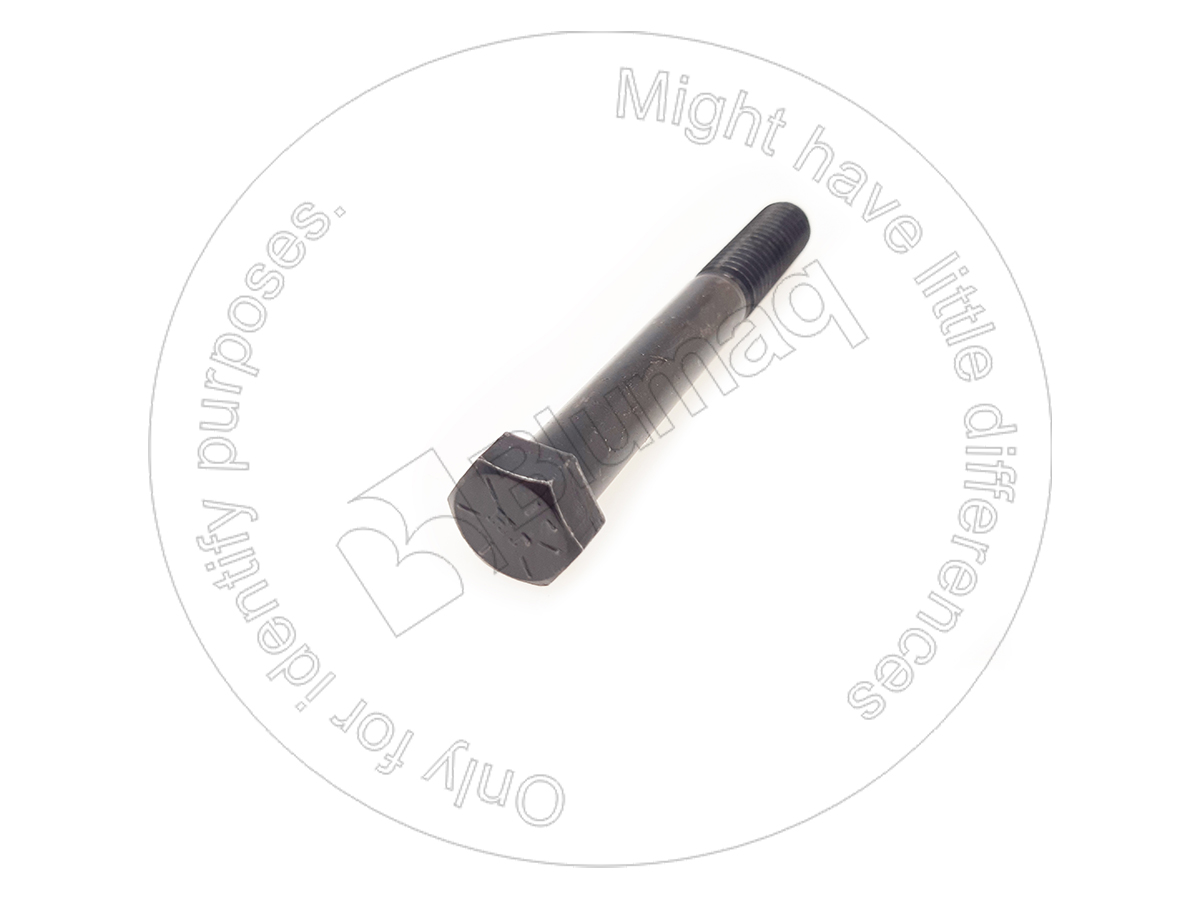 OTHER ROUND HEAD BOLTS compatible-for-volvo-applications VOP955556