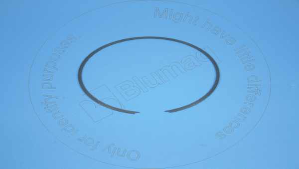 Bolts and nuts RETAINER METAL RINGS COMPATIBLE FOR VOLVO APPLICATIONS VO795311