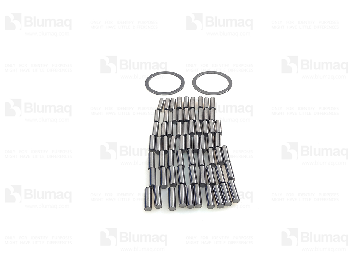 Rodamientos RODAMIENTOS DE RODILLO PLANO Compatible para aplicaciones Volvo VO4880969